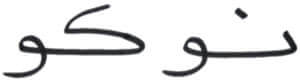 nuco in arabic