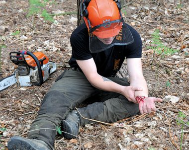 Forestry First Aid (+F) for instructors