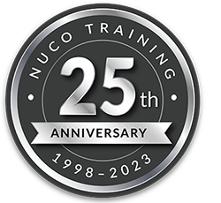 25th anniversary logo 2